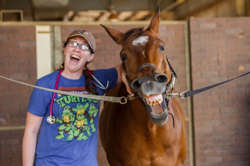 College of Medicine Horsemanship Helps Improve Med Students