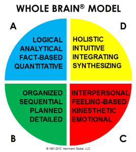 whole brain thinking