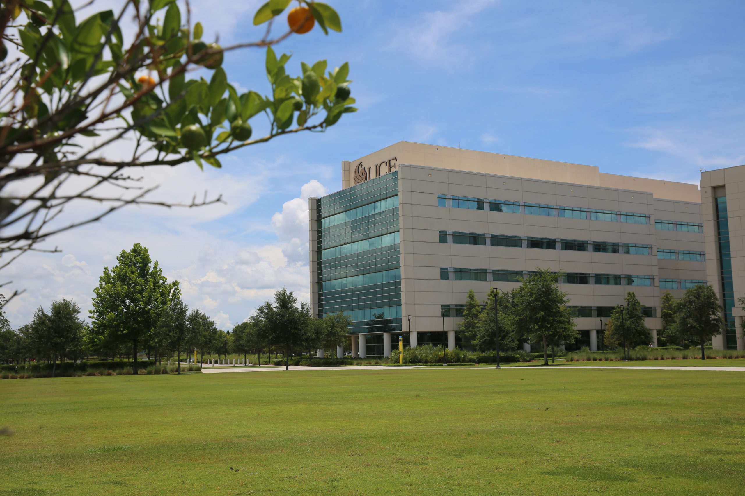 Ucf Office Of Admissions - 0gyfp0r