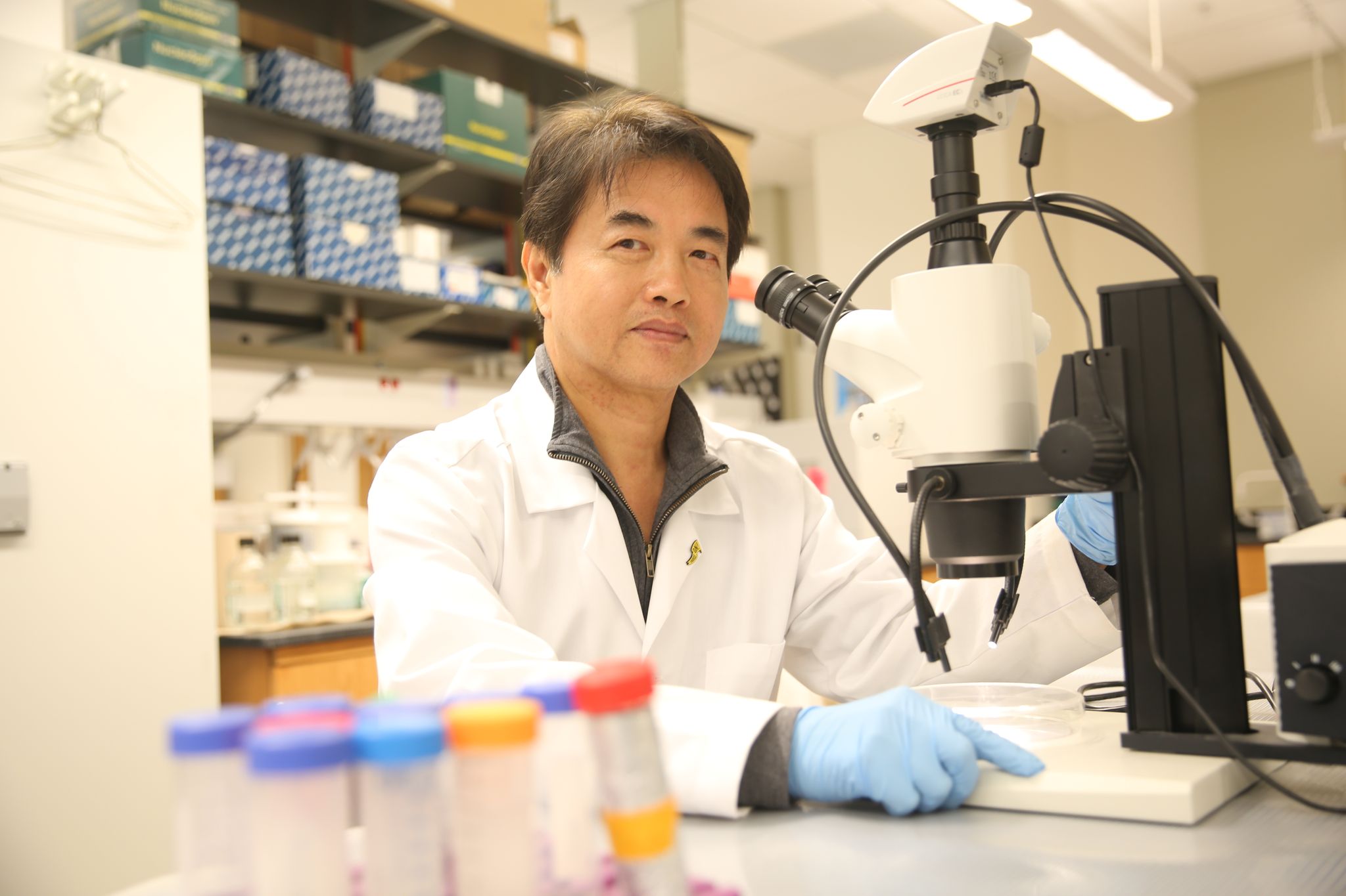 UCF Researcher Examines Link Between A Protein And Alzheimer’s ...