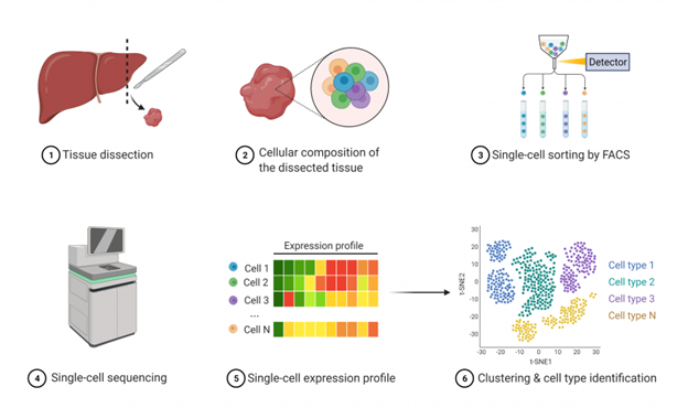 Single-Cell Sequencing example image