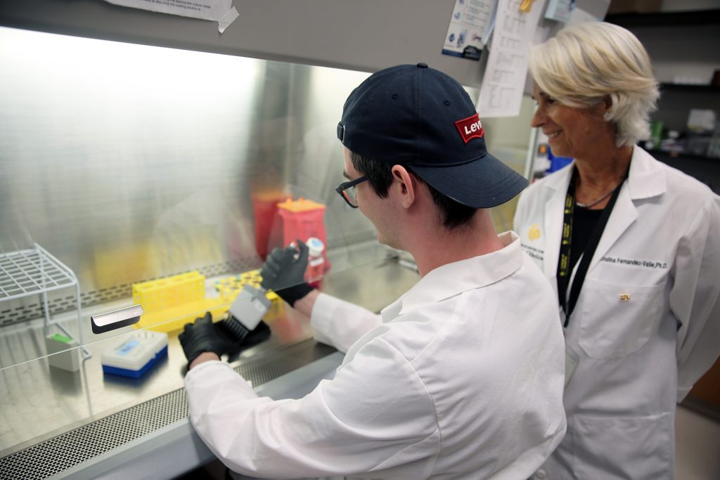 Pegasus Professor Cristina Fernández-Valle observes UCF College of Medicine M.D./Ph.D. candidate Ethan Hass as he prepares medication samples for efficacy testing.